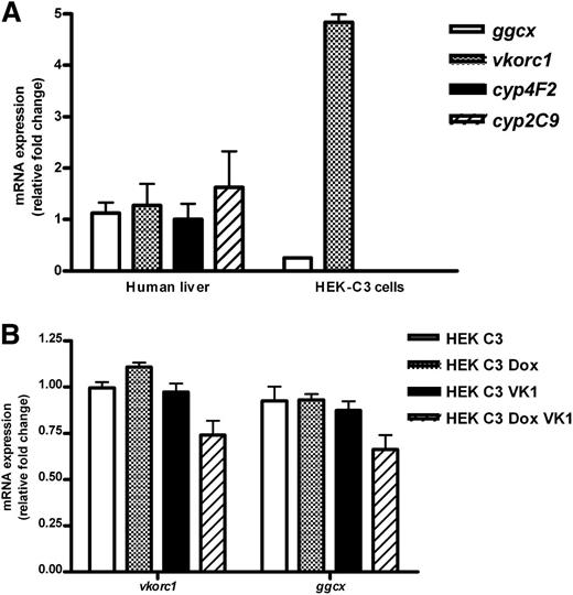 Figure 2. Expression of vitamin K–associated gene expression in human liver and HEK 293-C3 cells and effects of vitamin K supplementation and doxycycline induction on gene expression in HEK-C3 cells. (A) Gene expression in subconfluent, nondoxycycline-induced, nonvitamin K1–supplemented HEK 293-C3 cells was normalized to its own 18S ribosomal RNA expression and relative fold change determined by comparing to expression in pooled human liver complementary DNA (n = 6), which was set as 1.0. Expression of cytochrome P450’s 2C9 and 4F2 was not detectable in HEK-C3 cells. *P < .5 compared with human liver. (B) HEK-293 C3 cells were plated in regular growth media, with vitamin K1 (VK1) or without supplementation with 50 nM vitamin K1. Twenty-four hours after plating, expression of the F9CH plasmid was induced in some samples by addition of 200 μg/mL doxycycline (Dox). All cells were harvested 48 hours after plating. Gene expression in each sample was normalized to its own 18S rRNA expression and relative fold change determined by comparing to expression in pooled, nondoxycycline-induced, nonvitamin K1–supplemented HEK 293-C3 cDNA (n = 3), which was set as 1.0. Expression of cytochrome P450’s 2C9 and 4F2 was not detectable in HEK-C3 cells. mRNA, messenger RNA.