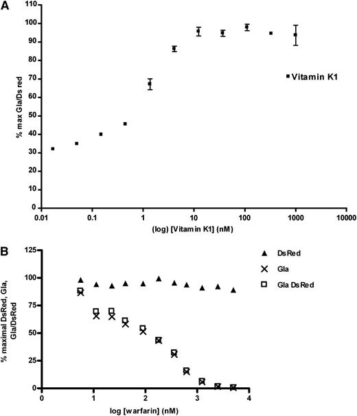 Figure 3. F9CH γ-carboxylation in HEK-C3 cells is vitamin K dependent and inhibited by VKOR antagonists. (A) Doxycycline-induced HEK-C3 cells were supplemented with vitamin K1 and assayed by flow cytometry for γ-carboxylated F9CH and DsRed as described. F9CH Gla and DsRed signals were calculated as percent of maximal, and corrected for background in naïve HEK-Tet-ON parental cell line immunostained for γ-carboxylated F9CH. Percent maximal Gla/DsRed (▪) is plotted. (B) Doxycycline-induced, vitamin K1–supplemented HEK-C3 cells cultured in increasing concentrations of R,S-warfarin were assayed by flow cytometry for γ-carboxylated F9CH (and DsRed fluorescence). F9CH Gla and DsRed signals were calculated as percent of maximal, and corrected for background in naive HEK-Tet-ON parental cell line immunostained for γ-carboxylated F9CH.