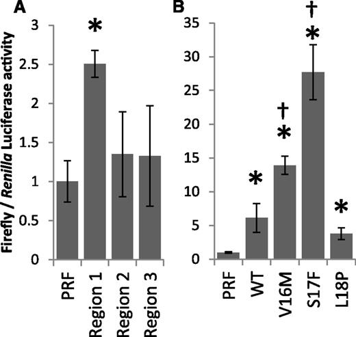 Figure 3. IRES activity from fragments of ELANE mRNA. (A) Activity from 3 overlapping regions of ELANE mRNA. Only region 1 showed an increase in IRES activity. Region 1: nt 171-233; Region 2: nt 42-233; and Region 3: nt 1-233 (NM_001972.2). (B) Activity from 3 tandem repeats of nt 171-193 of ELANE, either wild-type or mutant sequence. Data shown are mean ± standard deviation of 3 independent experiments. *P < .05 vs PRF; †P < .05 vs WT. WT, wild-type.