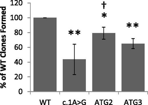 Figure 4. Clonogenic capacity of U937 cells transfected with ELANE vectors. Cells transfected with c.1A>G, ATG2 ORF, and ATG 3 ORF all formed significantly fewer clones. A total of 384 wells were counted for each group during each experiment. Data shown are mean ± standard deviation of 3 independent experiments. *P < .05 vs WT; **P < .005 vs WT; †P = .05 vs c.1A>G.