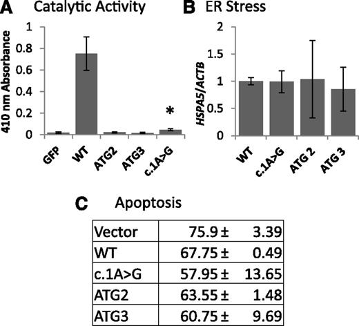Figure 5. Properties of amino-terminally truncated NE. (A) Mutant forms of NE are unable to cleave MeO-Suc-Ala-Ala-Pro-Val-pNA, an NE-specific substrate after a 16 hour incubation, except for c.1A>G which showed minimal residual activity. Data shown are mean ± standard deviation of 3 independent experiments. (B) No significant difference in ER stress was observed, as measured by HSPA5 expression. Data shown are mean ± standard deviation of 3 independent experiments. (C) There is no observed increase in apoptosis, as measured by Annexin V staining. Mean ± standard deviations of 2 independent experiments are shown. *P < .05 vs GFP.