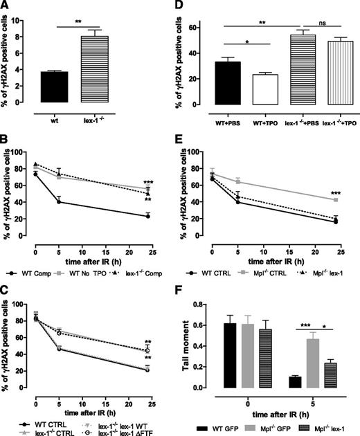 Figure 4. Iex-1 is necessary and sufficient for TPO-mediated DSB repair in HSPCs. (A) Percentage of γH2AX-positive LSK cells isolated from nontreated WT and Iex-1−/− mice. Data are means + SEM (n = 3). (B) Kinetics of γH2AX foci resolution after IR (2 Gy) of WT and Iex-1−/− LSK cells cultured in complete medium (Comp) or without TPO. (C) WT LSK cells were infected with lentiviruses expressing GFP only or GFP with Iex-1-WT or Iex-1-ΔFTF and treated as in (B). For (B) and (C), the results represent means + SEM of 3 independent experiments performed with pools of 5 to 10 mice. (D) WT and Iex-1−/− mice were treated with TPO (8 µg/kg) or phosphate-buffered saline 30 minutes before TBI (2 Gy). γH2AX staining in LSK-CD34− cells isolated 16 hours after TBI. (E-F) γH2AX foci (E) and comet tail resolution (F) after IR of WT and Mpl−/− LSK cells infected as in (C) and cultured in the presence of TPO complete medium. Means + SEM are shown. (E) n = 4. (F) Data are means + SEM of tail moment values analyzed in at least 35 cells.