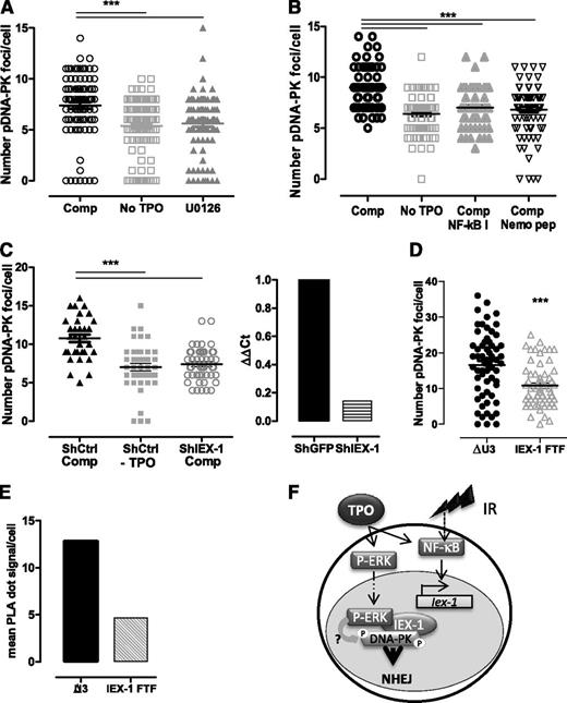 Figure 7. Erk and IEX-1 are necessary for DNA-PK activation in human and mouse HSPCs. (A-B) Ser2056-pDNA-PK foci number 30 minutes after IR of CD34+ human progenitor cells cultured without TPO or in complete medium (Comp) in the presence or absence of 10 µM U0126 (A) or 1 µM NF-κB I or 10 µM Nemo inhibitory peptide (B). Each dot represents an individual cell. Data are means + SEM from cells counted in 3 independent experiments. (C) Number of pSer2056-pDNA-PK 30 minutes after IR of CD34+ human cells infected with lentiviruses encoding control GFP-shRNA or IEX-1-shRNA and cultured and analyzed as in panel A (left). Data are means + SEM foci per cell counted from 3 independent experiments. IEX-1 mRNA expression in the shRNA-infected cells analyzed on the left (right). (D) Number of Thr2609-pDNA-PK and (E) pErk/DNA-PKc interaction using PLA in UT7-Mpl infected with control (ΔU3) or with IEX-1-ΔFTF vectors and treated with TPO and IR as in panel A. Representative experiments. (F) Representative model illustrating the cooperation between NF-κB and Erk activation upon TPO and IR, leading to Iex-1 induction and Iex-1 activation, respectively. The complex formed between pErk/Iex-1/DNA-PKc is required for DNA-PK phosphorylation and DNA-repair promotion.