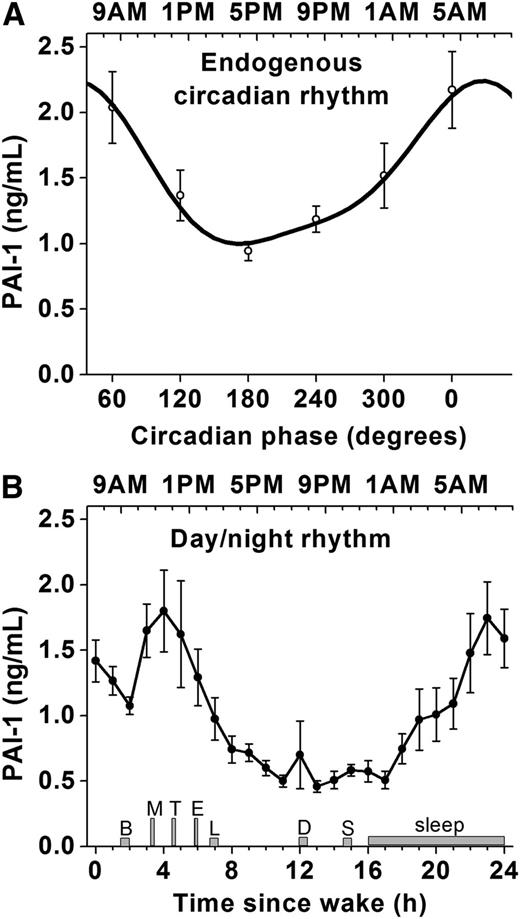Figure 2. Comparison between the endogenous circadian rhythm in PAI-1 and day/night rhythm in PAI-1. Comparison between the endogenous circadian rhythm in PAI-1 assessed during the twelve 20-hour cycles of the FD protocol (A) and the day/night rhythm in PAI-1 assessed during the second 24-hour baseline day including sleep/wake, fasting/feeding, supine/upright, rest/activity, and dark/light cycle (B). Figures are aligned according to the approximate average corresponding clock time of the circadian profile (ie, 0 circadian degrees equates to ∼4:30 am and 3 hours prior to habitual scheduled awakening in these participants). In order to allow comparison of absolute values, subjects’ data were not normalized (in contrast to Figure 1). Timing of meals, sleep, and test battery (gray bars) are indicated for the baseline day (data for FD protocol were all collected during the test battery). B, breakfast; L, lunch; D, dinner; S, snack. M, mental stress test (10-minute computerized serial addition test); T, head-up tilt; E, exercise. Top x-axis (A), corresponding average clock time; top x-axis (B), average clock time. During the baseline day, participants were in semirecumbent posture until T, in varied postures throughout the remainder of the day, and remained lying down throughout the sleep episode. Error bars represent standard error of the mean.