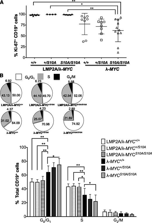 Figure 5. Homozygous p27S10A expression significantly decreases S-phase pretumor B cells from λ-MYC mice but has no effect in LMP2A/λ-MYC pretumor B cells. (A) Percentage of Ki-67+ pretumor B cells of each genotype. Data were combined from 5 experiments and represent the mean ± SD. (B) Pie charts and bar graphs demonstrating the cell cycle profile of pretumor B cells. Data were analyzed with 1-way ANOVA and represent the mean ± SD. *P < .05, **P < .01. The inset shows pie charts representing mean percentages of pretumor B cells in each phase of the cell cycle.