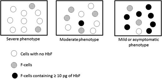 Disease phenotype depends on how HbF is packaged in HbS-containing erythrocytes.