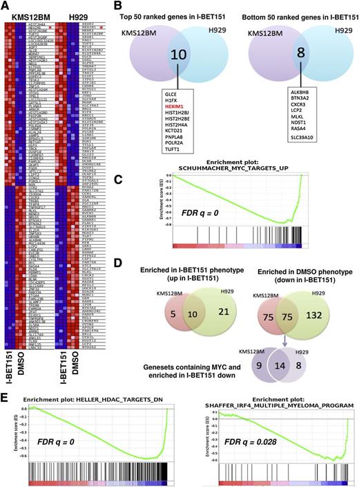 Figure 3. MYC-dependent and -independent molecular signatures of I-BET151 antimyeloma activity. (A) Heat map showing the 50 most up- and downregulated genes after treatment with I-BET151 (1 μM) for 6 hours of KMS12BM and H929 cells. HEXIM1 is highlighted by a red asterisk. (B) Venn diagram showing that among the 50 most upregulated genes in I-BET151-treated cells, 10 are shared by the 2 cell lines (left), while among the 50 most downregulated genes, 8 are shared by the 2 cell lines (right). (C) A representative MYC-dependent gene set enriched in both cell lines as determined by GSEA. (D) Venn diagrams showing the number of gene sets significantly enriched (P < .01; FDR q < 0.05) either in both or in individual cell lines. Left: number of gene sets significantly enriched among list of genes upregulated in I-BET151-treated cells; right: number of gene sets enriched among list of genes downregulated in I-BET151-treated cells. MYC-dependent gene sets enriched in the most downregulated genes in response to I-BET151 (shown in purple) form only a minority, with the majority of enriched gene sets being MYC-independent (supplemental Table 1). (E) GSEA analysis reveals enrichment of histone deacetylase (HDAC) inhibitor signatures in both H929 and KMS12BM cell lines (left; only KMS12BM shown here), and a myeloma-specific IRF4-dependent gene set in KMS12BM but not H929 cells (right) upon treatment with I-BET151.
