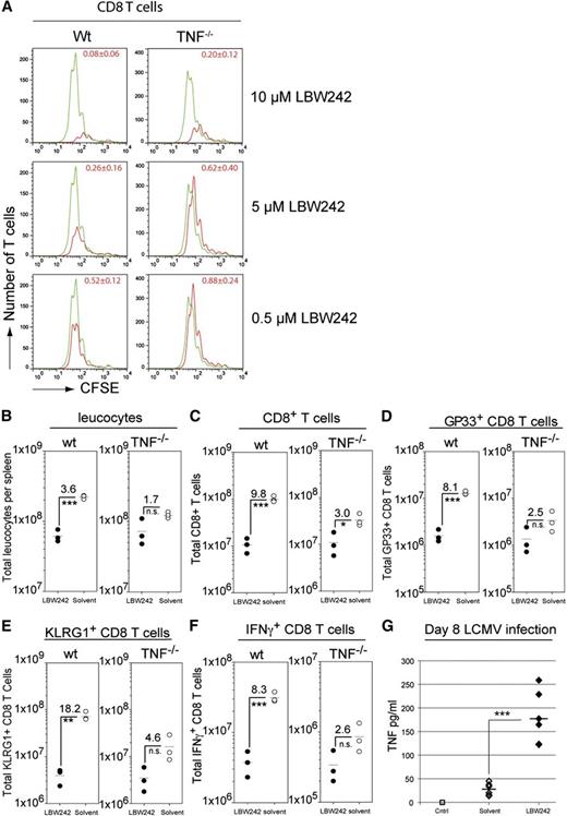 Figure 4. Effect of IAP antagonist is reduced in TNF-deficient mice. (A) CFSE-labeled WT and TNF−/− splenocytes were stimulated with plate-bound anti-CD3 antibody and exposed to graded concentrations of LBW242 (red line) or solvent (green line). After 72 hours, the cultures were harvested and stained with anti-CD8 antibody. Cells were resuspended in equal volumes of FACS buffer and counted in the flow cytometer for a defined time interval. The area under each curve represents the total number of cells collected. WT or TNF−/− mice were infected intravenously with 200 PFU LCMV and treated daily with LBW242 or solvent intraperitoneally. At day 8 post-infection, (B) total counts of leukocytes, (C) CD8 T cells, and (D) GP33-specific CD8 T cells were determined in the spleen. (E) KLRG-1 upregulation was analyzed on gated CD8 T cells and total numbers are shown. (F) Expression of intracellular INFγ was quantified on CD8 T cells and total numbers are given. Numbers displayed in the panels indicate the ratio of the different cell populations from solvent and LBW242 treated animals for WT and TNF−/− mouse groups, respectively. (G) Serum was taken from day 8 LCMV-infected mice and analyzed for TNF levels using enzyme-linked immunosorbent assay. Data are representative of 3 independent experiments.