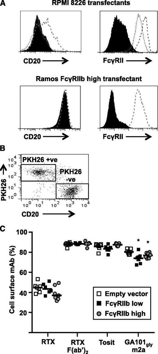 Figure 6. FcγRIIb1 in trans does not inhibit the rate of anti-CD20 mAb internalization. (A) CD20-negative FcγRIIb-negative RPMI 8226 cells were transfected with empty vector or human FcγRIIb1 and stable transfectants were selected expressing different levels of FcγRIIb1 as assessed by flow cytometry. Control cells (filled histogram), FcγRIIb1 low cells (dotted line), and FcγRIIb1 high cells (dashed line) were stained with RTX F(ab′)2-A488 (top left panel) and AT10-PE (top right panel). Equivalent staining of Ramos control cells transfected with empty vector (solid histogram) and Ramos FcγRIIb1 high cells (dashed line) stained with RTX F(ab′)2-A488 (bottom left panel) and AT10-PE (bottom right panel) is included for comparison. (B-C) Unlabeled Ramos FcγRIIb1-high cells were mixed 1:1 with PKH26-labeled RPMI 8226 FcγRIIb-negative control, RPMI 8226 FcγRIIb1-low or RPMI 8226-high cells and cultured with 5 µg/mL A488-labeled anti-CD20 mAb for 1 hour. The proportion of total mAb remaining on the cell surface of PKH26-negative Ramos FcγRIIb1 high cells was assessed by flow cytometry after treatment of cells with anti-A488 to quench cell-surface fluorescence. (B) Dot plot showing the gating strategy used to discriminate PKH26-positive RPMI 8226 transfectants from PKH26-negative Ramos FcγRIIb1-high transfectants. (C) Ramos FcγRIIb1-high transfectants cocultured with FcγRIIb-expressing RPMI 8226 and RPMI 8226 FcγRIIb-negative control cells were compared using the Mann-Whitney U test. Horizontal bars represent the median. *P < .05; n = 6.