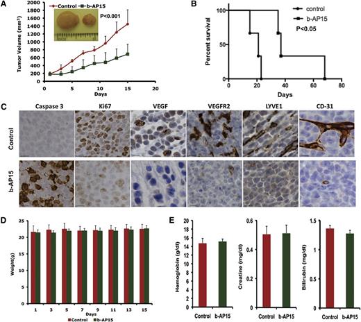 Figure 5. b-AP15 inhibits tumor growth and prolongs survival in xenograft mouse model. MM.1S cells (5 × 106) were subcutaneously inoculated into mouse hind flank region. On days 21 to 23, when the tumors reached 150 to 200 mm3, mice were randomized to control or b-AP15 treatment groups (7 mice in each group) and treated with vehicle control or b-AP15 (4 mg/kg) for 14 consecutive days. (A) Tumor volume was measured every other day. Data shown are mean ± SD (n = 7; P < .001). (B) Mice were euthanized when tumor volume reached 2000 mm3, and survival is shown in a Kaplan-Meier plot (P < .05). (C) Tumor sections from control and b-AP15–treated mice were immunostained with anti–caspase 3, Ki67, VEGF, VEGFR2, LYVE1, or CD31 antibodies. Scale bar = 10 μM. (D) Mouse body weight was measured every other day. Data shown are mean ± SD. (E) Hemoglobin, creatinine, and bilirubin from mouse serum were measured at the end of treatment. Data shown are mean ± SD.