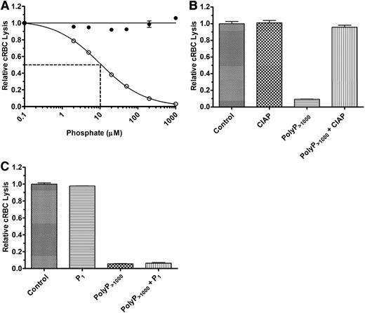 Figure 2. PolyP suppresses TP hemolytic activity in serum. (A) P1 (●) or polyP>1000 (○) were titrated into the TP assay in the presence of 2% serum and 250 pM C5b,6. The IC50 for polyP is shown by dotted lines and was determined as in Figure 1. Results are representative of more than 5 experiments, each performed in triplicate. (B) 600 µM polyP>1000 was incubated overnight with 400 U/mL calf intestinal alkaline phosphatase (CIAP) and then added to the TP assay at a final polyP>1000 concentration of 100 µM. The control represents lysis in the absence of CIAP and polyP, but with an equivalent concentration of CIAP digestion buffer. “CIAP” represents lysis in the presence of CIAP but absence of polyP. The findings indicate that suppression of the TP by polyP requires the integrity of the polymer. Values were normalized to baseline lysis from the control condition. Each column represents quadruplicate data points. (C) 2 mM P1 and 200 µM polyP>1000 were added singly or in combination in the TP assay. Values were normalized to baseline lysis from the control condition in which no phosphate was added. Excess monomer could not overcome suppressive properties of polyP. n = 3 independent experiments, each performed in triplicate.