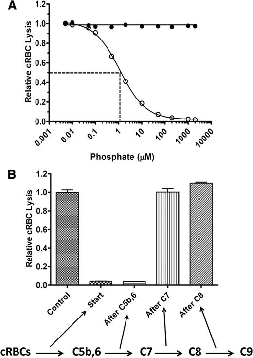 Figure 4. PolyP directly affects the function of TP components. (A) In a purified system, P1 (●) or polyP>1000 (○) were titrated into the TP assay in the presence of 20 pM C5b,6 and excess C7, C8, and C9. PolyP suppresses the TP in a similar manner as in serum (Figure 2A). Results are representative of 3 experiments, each performed in triplicate. (B) The TP assay was performed by sequentially adding cRBCs, C5b,6, C7, C8, and C9, with 200 µM polyP>1000 added at different steps, as indicated by arrows below the figure. Values were normalized to baseline lysis in the control condition without the addition of polyP. Each column represents quadruplicate data points. Relative lysis between control, after C7, and after C8 conditions were not statistically significant (P > .05).