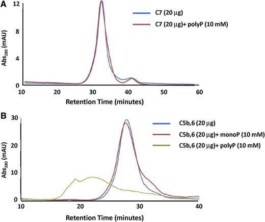 Figure 6. Gel filtration to assess interactions of C5b,6 and C7 with polyP. The effect of polyP on the gel filtration elution profiles of C5b,6 and C7 was evaluated. (A) The presence of polyP>1000 (10 mM) does not affect the retention time or elution profile of C7. (B) P1 (monoP) (10 mM) does not affect the retention time or elution profile of C5b,6. However, the presence of polyP (10 mM) binds to and shifts C5b,6 to a more highly oligomerized or aggregated state.