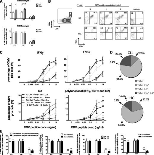 Figure 2. CMV-specific CD8+ T cells from CLL patients are equally effective in cytokine production as those from HCs. (A) Enriched CD8+ T cells from CLL patients and HCs were stimulated with PMA/ionomycin, and cytokine production was measured within total CD3+CD8+ and CD3+CD8+CMV-tetramer+ cells after 6 hours by flow cytometry. Bars represent mean ± standard error of the mean (SEM) of n = 9 CLL and n = 5 HCs. Significant differences are presented as *.01 ≤ P < .05; **.001 ≤ P < .01; ***P < .001 (Mann-Whitney U test). (B-E) Enriched CD8+ T cells from CLL patients or HCs were incubated with HLA-I–matched EBV-LCLs, CLL cells, or B cells derived from HCs and loaded with increasing concentrations of the corresponding CMV pp65 peptide (HLA-A2 or HLA-B7) in the presence of αCD28, αCD29, brefeldin A, and GolgiStop. After 6 hours, cytokine production was analyzed by flow cytometry in CD3+CD8+tetramer+ cells. (B) Representative dot plots from 1 CLL patient and 1 HC. (C) Percentage of IFN-γ+, TNF-α+, and IL-2+ cells within CD3+CD8+tetramer+ cells and polyfunctional cells producing IFN-γ+, TNF-α+, and IL-2+ within the CD3+CD8+tetramer+ cells are presented. Results are shown as mean ± SEM of n = 9 CLL and n = 5 HCs. (D) Percentage of TNF-α+, TNF-α+IFN-γ+, TNF-α+IL-2+, and TNF-α+IFN-γ+IL-2+ (polyfunctional) cells within the CD3+CD8+tetramer+TNFα+ cells stimulated with CMV-peptide–loaded (10 ng/mL) EBV-LCLs. Results are shown as mean percentages of n = 9 CLL and n = 5 HCs. (E) Percentage of IFN-γ+, TNF-α+, and IL-2+ cells within the CD3+CD8+CMV-tetramer+ cells stimulated with 1.0 ng/mL CMV-peptide–loaded EBV-LCLs, stratified according to CMV-tetramer+CD8+ low and high cells defined as < or ≥ 5% CMV-tetramer+CD8+ cells within CD8+ cells, ALC, Rai stage, or IGHV mutation status. Bars represent mean ± SEM. conc, concentration; pos, positive.