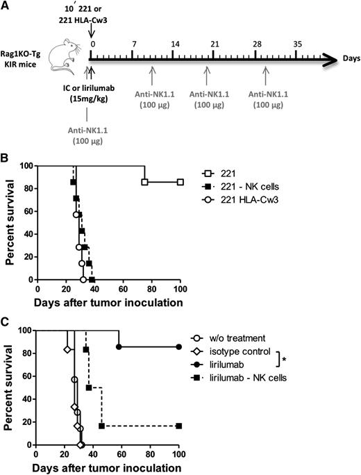 Figure 3. Lirilumab therapy improves survival in a prophylactic HLA+ tumor model in an NK-cell–dependent manner. (A) Schema of antibody administration. (B) To determine whether HLA+ tumors escape NK-cell control in KIR Tg mice, (□) 221 (n = 7) or (○) 221 HLA-Cw3 (n = 7) tumor cells (107 cells) were injected intravenously into Rag1KO-Tg KIR mice, including (▪) one group injected with 221 tumor cells (107 cells) in which NK cells were depleted with 100 µg of anti-NK1.1 mAb (n = 7). (C) Rag1KO-Tg KIR mice were injected intravenously with 221 HLA-Cw3 tumor cells (107 cells) and subsequently received either (○) no treatment (n = 7), (♢) IC mAb at 15 mg/kg, (●) lirilumab at 15 mg/kg (n = 6), or (▪) lirilumab at 15 mg/kg and 100 µg anti-NK1.1 mAb (n = 6) to deplete NK cells. NK-cell depletion was started on the day prior to tumor challenge and was maintained by injecting 100 µg anti-NK1.1 every 10 days. Mice were then monitored for overall survival. *P < .001. (B) and (C) show several groups of the same experiments. One experiment representative of 3 experiments is shown.