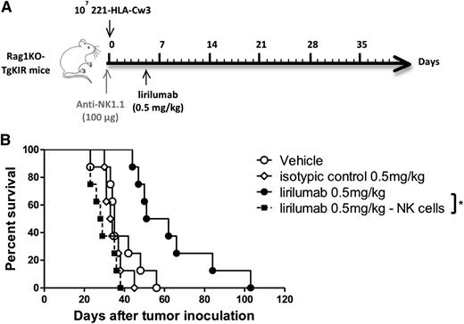 Figure 4. Lirilumab therapy improves survival in a therapeutic HLA+ tumor model in an NK-cell–dependent manner. (A) Schema of lirilumab administration. (B) To determine therapeutic efficacy of anti-KIR mAb therapy and the role of NK cells, 221 HLA-Cw3 tumor cells (107 cells) were injected intravenously into Rag1KO-Tg KIR mice and, starting 5 days after tumor challenge, groups (n = 8 mice per group) received (○) no treatment, (♢) isotype control at 0.5 mg/kg, (●) lirilumab at 0.5 mg/kg, or (▪) lirilumab at 0.5 mg/kg and 100 µg anti-NK1.1 mAb to deplete NK cells starting on the day prior to tumor inoculation. Mice were then monitored for overall survival. *P = .0002. One experiment representative of 2 experiments is shown.