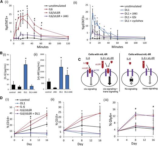 Figure 2. DL1 activates STAT3 similarly to IL-6 but impacts mature cells differently. (Ai) IL-6 stimulation activated STAT3 on cultured CD34+ cells. This effect was enhanced with the combination of IL-6 and sIL-6R and diminished by the addition of a JAKi. *Statistical comparison of IL-6 stimulation to unstimulated condition; #statistical comparison of IL-6/sIL-6R stimulation to IL-6 stimulation. (Aii) DL1 stimulation activated STAT3 on cultured CD34+ cells and was dependent on both JAK and γ-secretase (GSi) but was not impacted by cycloheximide. (B) DL1 upregulated the secretion of (i) IL-6 and (ii) sIL-6R. (C) Schematic of IL-6 cis-signaling and trans-signaling. IL-6 ligand can initiate JAK-STAT signaling in the absence or presence of sIL-6R on cell types that express mIL-6R (cis-signaling). On cells that do not express mIL-6R, IL-6–mediated signaling can occur only in the presence of sIL-6R (trans-signaling). (D) IL-6 increased CD14+ cells and CD15+ cells. The addition of sIL-6R additionally increased GlyA+ cells. The combination of IL-6/sIL-6R and DL1 inhibited the production of (i) CD14+ cells and (ii) CD15+ cells and maintained the production of (iii) GlyA+ cells. *Statistical comparison of IL-6 to control condition; #statistical comparison of IL-6/sIL-6R to IL-6 condition. All error bars indicate standard deviation. n ≥ 3, P < .05.