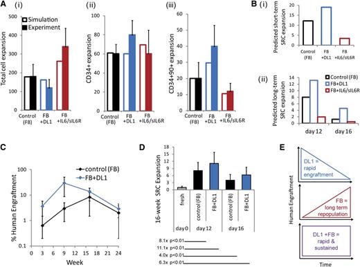 Figure 4. The impact on short- and long-term repopulating HSCs by feedback-mediated DL1 is predicted and validated. (A) Comparison of day 12 model predictions and experimental expansion outputs from the fed-batch control culture, the DL1 culture, and the IL-6/sIL-6R culture for (i) total cell expansion; (ii) CD34+ cell expansion; and (iii) CD34+CD90+ cell expansion. (Bi) Model predictions of day 12 short-term SRC expansions under each culture condition. (Bii) Model predictions of long-term SRC expansions after 12 and 16 days of culture. (C) Time course of human engraftment after transplantation of day 12–cultured cells into NSG mice. Bone marrow was assessed at 3, 9, 16, and 24 weeks following transplantation with 500 000 cells cultured in the fed-batch control or the fed-batch plus DL1 culture conditions. (D) Quantification of week 16 SRC expansion, based on limiting dilution analysis performed 16 weeks posttransplantation. Cells were cultured for 12 or 16 days in the fed-batch system with or without DL1 before transplantation. Expansions indicated compared cells cultured in vitro with transplantation of the uncultured CD34+ cells. (E) Schematic of the combined effect of DL1 and the fed-batch platform on both rapid and sustained human engraftment.
