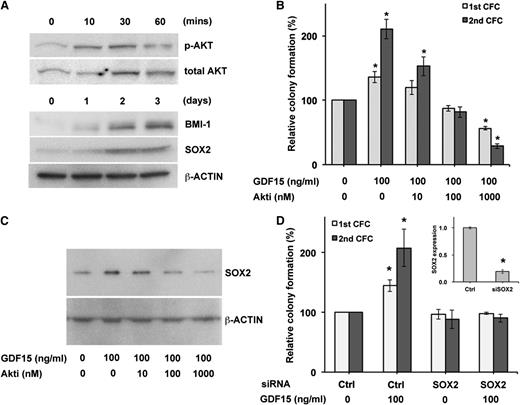 Figure 2. GDF15 activity is dependent on AKT and SOX2. (A) Western blot detection of phosphorylated AKT, BMI-1, and SOX2 expression by NCI-H929 cells after treatment with GDF (100 ng/mL). (B) Serial colony formation after treatment with GDF15 and the Akti 124018 for 3 days. *P < .05 compared with 0 ng/mL GDF15. (C) Western blot analysis of SOX2 after treatment with GDF15 and AKT inhibitor. (D) Serial colony formation of NCI-H929 cells after transfection of SOX2 or control short interfering RNA (siRNA) and treatment with GDF15 for 3 days. *P < .05 compared with scramble control and 0 ng/mL GDF15. The inset shows SOX2 expression by qRT-PCR 3 days after transfection.