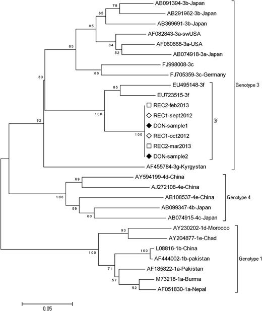Figure 1. Phylogenetic analysis of partial ORF1 sequence. Phylogenetic tree was constructed on the MEGA4 software using the neighbor-joining method from a Kimura 2-parameter distance matrix based on partial nucleotide sequences of ORF1 encoding for RdRp, as previously described (4). Bootstrap values obtained from 500 resamplings are shown. A 100% homology is observed between blood donor sequences obtained from 2 aliquots of the same donation (DON sample 1 and sample 2) and recipient’s sequences (REC1 and REC2) obtained from 2 different samples. GenBank reference sequences are indicated by their accession number.