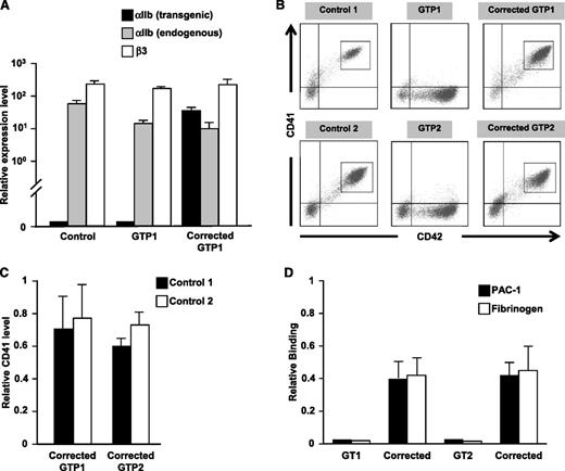 Figure 2. Transgene correction of GT iPSC lines. (A) Quantitative reverse transcriptase polymerase chain reaction analysis of expression of the Gp1ba promoter construct, endogenous ITGA2B, and endogenous ITGB3 in control, uncorrected GT, and corrected GT iPSC-derived megakaryocytes relative to cyclophilin (mean ± SEM for 3 replicates). (B) Analysis by flow cytometry of CD41 vs CD42 expression in control, GT, and corrected GT iPSC lines differentiated into megakaryocytes. (C) Bar graphs of gated populations in Figure 2B (gray rectangles) examine expression of CD41 of corrected GTP1 and GTP2 relative to two different control iPSC-derived megakaryocytes (mean ± SEM for 3 independent experiments). (D) PAC-1 and fibrinogen binding in convulxin-stimulated uncorrected and corrected GT megakaryocytes relative to control megakaryocytes (mean ± SEM for 3 independent experiments).