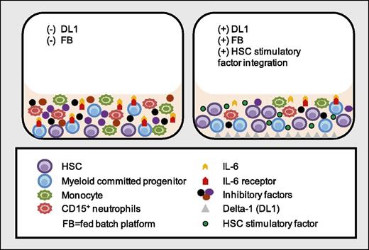 Treatment of cultured CD34+ cells with Delta-1 in a fed-batch platform inhibits IL-6 cis- and trans-signaling in myeloid committed progenitor cells and reduces the production of mature inflammatory myeloid cells, which leads to depletion of inhibitory factors produced by these cells. Concomitant inhibition of mature myeloid cell production and depletion of inhibitory signals result in extensive ex vivo expansion of HSC from cultured CD34+ cells.