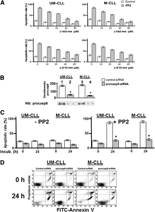 Figure 6. Pharmacologic and genetic inhibition of procasp8 reduces the apoptotic effect of Lyn inhibition. (A) Freshly isolated B-CLL cells were cultured in the absence or presence of 10 μM PP2 with increasing concentrations of z-VAD-fmk (upper panels) or z-IETD-fmk (lower panels) for 48 hours, and cell apoptosis was analyzed by annexin V–propidium iodide (PI) flow cytometry. Quadrant analysis after flow cytometry was expressed as mean percentage ± SD of early and late apoptosis from 3 separate experiments performed in triplicate on samples from 16 B-CLL patients belonging to 2 different UM-CLL and M-CLL subsets (left and right panels, respectively) composed of 8 samples each. Compared with the effect of PP2 alone, changes were significant starting at 10 μM of z-VAD-fmk or z-IETD-fmk, respectively. (B) Freshly isolated B-CLL cells were transfected by nucleofection with either the negative control (lanes 1 and 3) or procasp8-siRNAs (lanes 2 and 4) and cultured for 48 hours in complete medium. Cell lysates then underwent Wb analysis with anti-procasp8 antibody to assess the efficacy of siRNA technology. Expression of procasp8 in the whole cell of procasp8 siRNA transfected cells compared with that from siRNA control transfected cells was significantly decreased (*P < .05, lanes 1, 2, and 3 vs 4). (C) Freshly isolated B-CLL cells were transfected by nucleofection with either the negative control (white bar) or procasp8-siRNAs (shaded bar), cultured for 48 hours in complete medium, and subsequently incubated for 0 or 24 hours in the absence (left panel) or presence (right panel) of 10 µM PP2. Cell apoptosis was then analyzed by annexin V–PI flow cytometry, with quadrant analysis being expressed as mean percentage ± SD of early and late apoptosis from 3 separate experiments performed in triplicate on samples from 16 B-CLL patients belonging to 2 different UM-CLL and M-CLL subsets (left and right panels, respectively) composed of 8 samples each. Compared with the effect of PP2, changes due to procasp8 siRNA were statistically significant (*P < .05 or higher degree of significance). (D) Annexin V–PI flow cytometry analysis of 2 samples representative of the UM-CLL and M-CLL groups from the right panel of C. FITC, fluorescein isothiocyanate.
