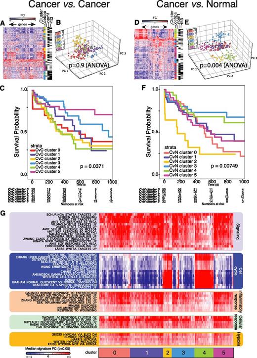 Figure 4. The CvN method improves classification of NK-AML patients. Side-by-side comparison of clustering performance of the CvC (A-C) and CvN (D-F) methods on a NK-AML data set (GSE15434). Heat maps (hierarchical clustering) of genes identified by the CvC method (A) and CvN methods (D), using a NK-AML patient data set. Differentially expressed genes identified by each method were selected by variance (1614 and 1383 probe sets in A and D, respectively) and rescaled gene wise. An initial hierarchical clustering was used to identify the optimal number of patient clusters (n = 6; supplemental Figure 9). This was followed by K-means clustering (K = 6), which distributed the samples into 6 patient clusters (color labeled). (B,E) 3-dimensional-PCA plots of the 6 K-means-derived patient clusters identified by the CvC (B) and CvN (E). (C,F) Kaplan-Meier plots depicting the OS curves for of the 6 NK-AML clusters assessed by (C) the CvC method and (F) the CvN method (P = .04 and P = .007, respectively, χ-square). (G) Median gene expression fold change of selected MsigDB gene signatures that overlap significantly (P < 1e−5, median, subclass-wise) with patient-specific NK-AML signatures.