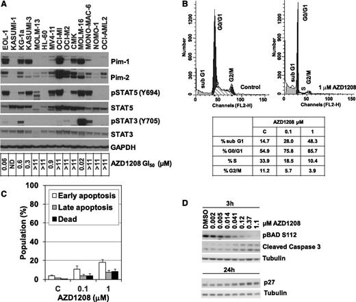 Figure 2. Effect of AZD1208 on cell growth and survival in AML cell lines. (A) Pim-1 and Pim-2 expression and STAT3 and STAT5 expression and phosphorylation across a panel of AML cell lines with varying sensitivity to AZD1208, as shown by immunoblot analysis of cell lysates and GI50 values from a 72-hour proliferation assay. (B) AZD1208 effect on G1 cell cycle arrest and subG1 population in MOLM-16 cells, assessed by propidium iodide staining and flow cytometry for DNA content 72 hours after treatment. Data shown are representative of 3 independent experiments. (C) Effect of AZD1208 on apoptosis in MOLM-16 cells determined by staining with Annexin V (early apoptosis), Annexin V and 7-amino-actinomycin D (7-AAD) (late apoptosis), and 7-AAD (dead/necrotic cells). Data shown are representative of 3 independent experiments. (D) AZD1208 effect on p27, pBAD, and cleaved caspase 3, as shown by immunoblot anaylsis 3 and 24 hours after treatment. FL2-H, peak emission values in the FL2 channel; GAPDH, glyceraldehyde-3-phosphate dehydrogenase; ND, not determined.