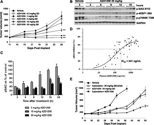 Figure 4. AZD1208 efficacy and pharmacokinetic (PK)-PD analyses in AML xenograft models. (A) CB17 SCID mice implanted subcutaneously with MOLM-16 cells were treated once daily (QD) with either vehicle or AZD1208 by oral gavage for 14 days to assess effect on tumor growth. Data shown are the average ± standard error of the mean (SEM). **Significant difference in tumor size at day 25 between vehicle- and AZD1208-treated mice; Student t test P < .001. (B) Immunoblot analysis of MOLM-16 tumors from mice treated with 30 mg/kg AZD1208 at the times shown. (C) pBAD levels as percent of vehicle-treated controls measured at the indicated times and doses, as described in “Methods.” Data represent the average of triplicates + SEM. (D) Percent pBAD inhibition at multiple plasma drug levels was measured to determine the PK-PD relationship and concentration required for 50% inhibition. Data are from the study in (C) and an additional data set including 18-hour time points. The graph was generated by using Phoenix WinNonlin 6.3 software (Pharsight). (E) CB17 SCID mice implanted subcutaneously with KG-1a cells were treated once daily with vehicle or AZD1208 by oral gavage or twice per week, on consecutive days, with cytarabine by intraperitoneal injection from day 14 to day 39 postimplantation. Data shown are the average ± SEM. **Significant difference in tumor size at days 39 and 50 between AZD1208-treated or cytarabine-treated mice and mice treated with the combination of AZD1208 and cytarabine. Student t test P < .001.