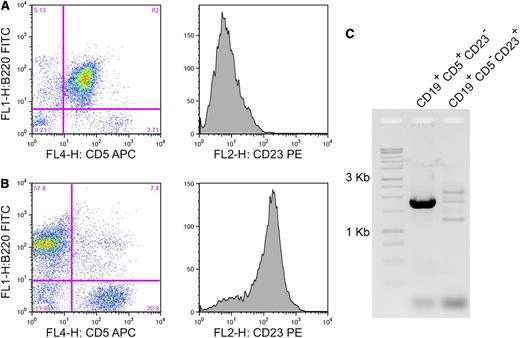 Figure 6. Clonality of splenic tissue from EμCycD1CD19CREBimfl/fl mice. Spleens from 2 exemplary EμCycD1CD19CREBimfl/fl mice, (A) 1 that developed MCL and (B) 1 that did not are compared for CD5 expression, CD23 expression, and (C) immunoglobulin H clonality by framework 3 PCR.