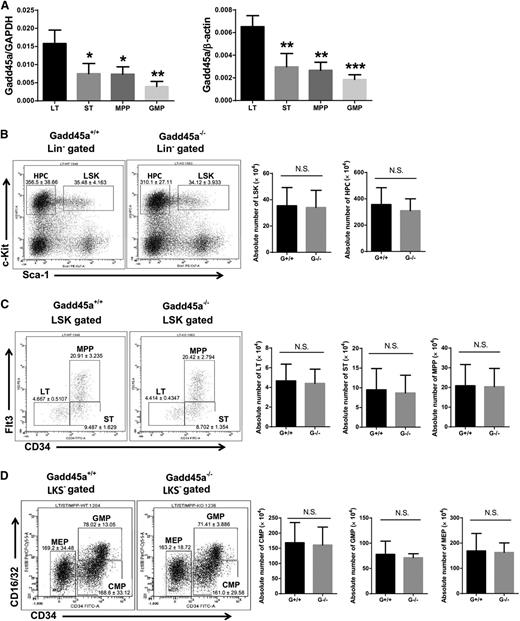 Figure 1. Gadd45a−/− mice showed a normal hematologic phenotype under homeostatic condition. (A) Expression of Gadd45a mRNA in the indicated subpopulations of BM from young wild-type mice (2 months old) was measured by qRT-PCR (SYBR green assay). The relative expression of Gadd45a was normalized to glyceraldehyde-3-phosphate dehydrogenase (GAPDH) or β-actin. Each subpopulation was compared with LT-HSCs for statistical analysis (n = 4). (B-D) The absolute number of LT-HSCs (CD34−Flt3−Lin−c-Kit+Sca-1+), ST-HSCs (CD34+Flt3−Lin−c-Kit+Sca-1+), MPPs (CD34+Flt3+Lin−c-Kit+Sca-1+), LSK (Lin−c-Kit+Sca-1+) cells, HPCs (Lin−c-Kit+Sca-1−, LKS−), common myeloid progenitors (CD34+CD16/32−LKS−), GMPs (CD34+CD16/32+LKS−), and megakaryocyte/erythroid progenitors (CD34−CD16/32−LKS−) in young mice was determined by FACS (n = 11) (*P < .05, **P < .01, ***P < .001). N.S., not significant.