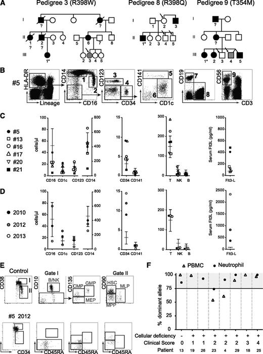 Figure 3. Asymptomatic carriers of GATA2 mutation may develop cellular deficiency, elevated Flt3L, loss of BM progenitors, and clonal myelopoeisis. (A) Three pedigrees identified (mutation indicated) containing asymptomatic relatives (clinical core = 0), carrying GATA2 mutation (open symbols, arrowed). Gray symbols identify 2 patients with either elevated Flt3L (>200 pg/ml) or cytopenia. Filled symbols indicate affected patients with mutation (clinical score = 1 to 4). (B) DC, monocyte, and lymphocyte profiles of patient #5, 1 of 3 healthy carriers of GATA2 mutation showing a normal cellular phenotype at the first point of analysis in 2010. Populations: (1) CD14+ monocyte; (2) CD16+ monocyte; (3) pDC; (4) CD34+ progenitors; (5) CD141+ mDC; (6) CD1c+ mDC; (7) B cell; (8) T cell; and (9) NK cell. (C) Summary of DC and monocyte counts relative to reference ranges for the asymptomatic carriers. Case #5 (filled circle) is shown at first analysis in 2010. Case #21 (filled square) already has cytopenia. (D) Detailed analysis of case #5 showing the loss of cells and rising Flt3L over a 3-year period. (E) BM analysis of case #5 showing loss of B, NK, MLP, and GMP progenitors at midpoint when no cytopenia was evident. CMP, common myeloid progenitor; MEP, megakaryocyte-erythroid progenitor; MPP, multi-potent progenitor. (F) Pattern of X inactivation in females with GATA2 mutation at different stages of clinical evolution. Dominance of >75% is considered evidence of clonal hematopoiesis.