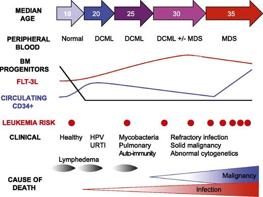 Figure 6. Schematic diagram summarizing the evolution of cellular deficiency in GATA2 mutation. BM MLPs are rapidly lost even in healthy carriers (see Figure 2). Peripheral blood CD34 counts are elevated in many patients (see examples in Figures 1 and 2) and tend to decline with advancing disease (not shown). Flt3L is progressively elevated, but declines as patients develop MDS (see Figure 4). A rapid rise in CD34+ cells and decline in Flt3L may signify the onset of MDS or AML, although AML may occur sporadically without prior cytopenia.