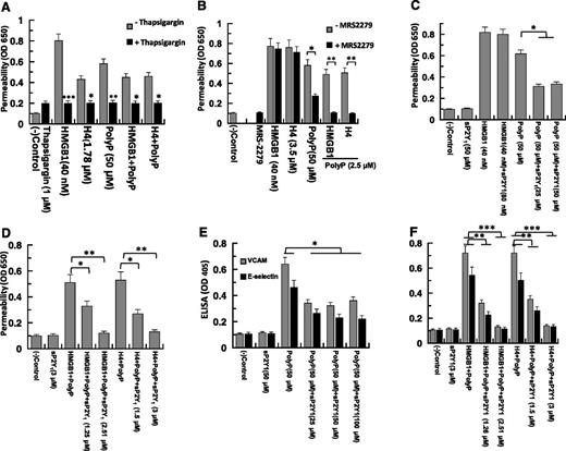 Figure 3. PolyP-70-mediated proinflammatory signaling by nuclear cytokines is mediated by a Ca2+ signal through interaction with P2Y1. (A) Cell permeability in response to HMGB1 (40 nM), H4 (1.78 μM), and polyP-70 (50 μM) was evaluated in the absence (gray bar) and presence of thapsigargin (black bar) as described in Materials and methods. (B) The same as (A), except that the cell permeability in response to HMGB1 (40 nM), H4 (3.5 μM), polyP-70 (50 μM), polyP-70 (2.5 μM) + HMGB1 (10 nM), and polyP-70 (2.5 μM) + H4 (0.44 μM) was evaluated in the absence (gray bar) and presence (black bar) of the P2Y1 antagonist MRS-2279. (C) The same as (A), except that the competitive effect of sP2Y1 (25-50 μM) on cell permeability in response to HMGB1 (40 nM) and polyP-70 (50 μM) was evaluated. (D) The same as (C), except that the competitive effect of sP2Y1 (1.25-3 μM) on a low concentration of polyP-70 (2.5 μM)-mediated cell permeability by a low concentration of either HMGB1 (10 nM) or H4 (0.44 μM) was evaluated. (E) The same as (C), except that the competitive effect of sP2Y1 on the expression of either VCAM-1 (gray bar) or E-selectin (black bar) in response to HMGB1 (40 nM) and polyP-70 (50 μM) was evaluated. (F) The same as (D), except that the competitive effect of sP2Y1 (1.25-3 μM) on the polyP-70 (2.5 μM)-mediated expression of either VCAM-1 (gray bar) or E-selectin (black bar) by a low concentration of either HMGB1 (10 nM) or H4 (0.44 μM) was evaluated. All results are shown as mean ± standard deviation of 3 different experiments. *P < .05; **P < .01; ***P < .001.