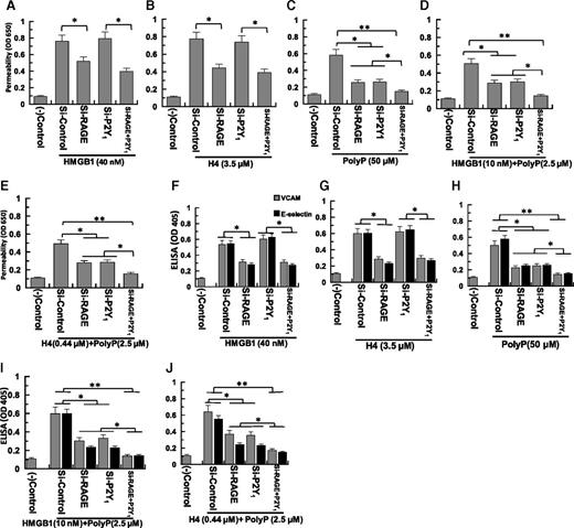 Figure 4. Effect of siRNA knockdown of the RAGE and P2Y1 receptors on the HMGB1- and H4-mediated cell permeability in the absence and presence of polyP-70. (A-C) Confluent endothelial cells were transfected with the control siRNA (1 µg for 3 days) or siRNA (1 µg for 3 days) specific for RAGE and P2Y1, individually or in combination of 2 before monitoring cell permeability in response to HMGB1 (40 nM), H4 (3.5 µM), and polyP-70 (50 µM). (D-E) The same as (A-B), except that permeability in response to a low concentration of either HMGB1 (10 nM) or H4 (0.44 μM) was evaluated in the presence of a low concentration of polyP-70 (2.5 μM). (F-J) The same as (A-E), except that the effect of siRNA knockdown of RAGE and P2Y1 on the expression of either VCAM-1 (gray bar) or E-selectin (black bar) in response to different stimuli was studied. All results are shown as mean ± standard deviation of 3 different experiments. *P < .05; **P < .01.