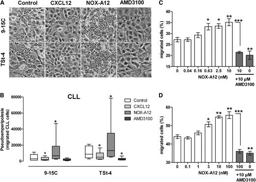 Figure 2. NOX-A12 increases CLL cell migration beneath BMSCs and induces migration of leukemic cell lines in a dose-dependent manner. (A) A representative phase-contrast photomicrograph of CLL cells migrated underneath stromal cells 9-15C and TSt-4 (control), and in comparison, increased migration of the same CLL sample after incubation of the stromal cells with 100 nM NOX-A12. (B) CLL cells that migrated underneath stromal cells were quantified by flow cytometry. The box-and-whisker diagrams represent the median including interquartile range, maximum, and minimum of migrated CLL cells from 6 different patients after pretreatment of the stromal cells with or without NOX-A12. The Wilcoxon matched-pairs signed-rank test was used for statistical analysis. (C) The T-cell leukemic cell line Jurkat, and (D) the ALL cell line Nalm-6 were labeled with Calcein AM and cocultured with murine stromal MS-5 cells preincubated with different concentrations of NOX-A12 and/or AMD3100. After incubation of 3 (Jurkat) or 6 (Nalm-6) hours, respectively, leukemia cells were washed from the stromal cell layer. Results indicate the percentages of migrated plus attached cells beneath the stromal cell layer, representing the mean ± SD values of bottom fluorescence measurement (n = 3). The one-way analysis of variance test was conducted for statistical analysis. Data are representative of 3 independent experiments. *P = .01 to .05; **P = .001 to .01; ***P < .001.