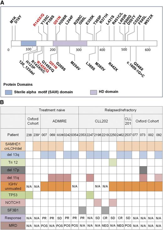 Figure 3. Schematic representation of SAMHD1 mutations and relationship to other genetic lesions. (A) Schematic representation of SAMHD1 protein. (Upper) Mutations found in current study. (Lower) Known mutations in AGS patients. Mutations common to both diseases are shown in red. (B) Associations between SAMHD1 mutations and other genetic aberrations and clinical outcome. cnLOH, copy neutral loss of heterozygosity; CLL239*, AGS patient; Response, clinical response according to the iwCLL guidelines46; PR, partial response; CR, complete response; SD, stable disease; MRD, minimal residual disease; N/A, not available.