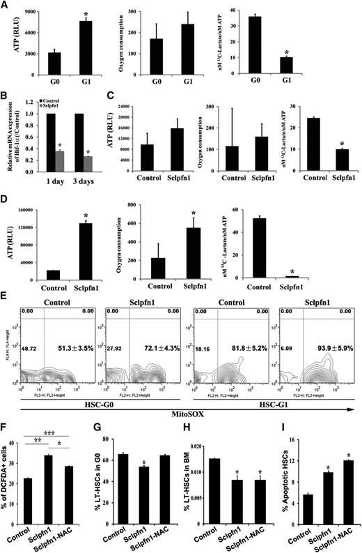 Figure 5. Pfn1 regulates metabolism of HSCs. (A) Measurement of ATP content, oxygen consumption, and labeled glycolytic flux per ATP in G0 and G1 fractions of LT-HSCs (as Lin−Sca-1+Kit+Flk2−CD34− cells) (n = 3-6; *P < .05). (B) Hif-1a expression in control and Sclpfn1 HSCs at days 1 and 3 after tamoxifen treatment (n = 3; *P < .05). (C-D) Metabolic profiles (ATP content, oxygen consumption, and glycolytic flux per ATP) in control and Sclpfn1 HSCs at (C) day 2 or (D) day 8 after tamoxifen treatment. Sclpfn1 HSCs are much less glycolytic (n = 3-6; *P < .05). (E) Mitochondrial super-oxide (MitoSOX) was analyzed in G0 and G1 cells from control and Sclpfn1 LT-HSCs (n = 3). (F-I) Control and Sclpfn1 mice were treated with tamoxifen for 7 days followed by NAC treatment of another 8 days. (F) Levels of ROS were determined by analysis for carboxy-DCFDA, and percentage of DCFDA+ LT-HSCs are shown (n = 4-6; */**/***P < .05). (J) Cell cycle status, (H) frequency, and (I) levels of apoptosis of HSCs were analyzed (n = 3; *P < .05).