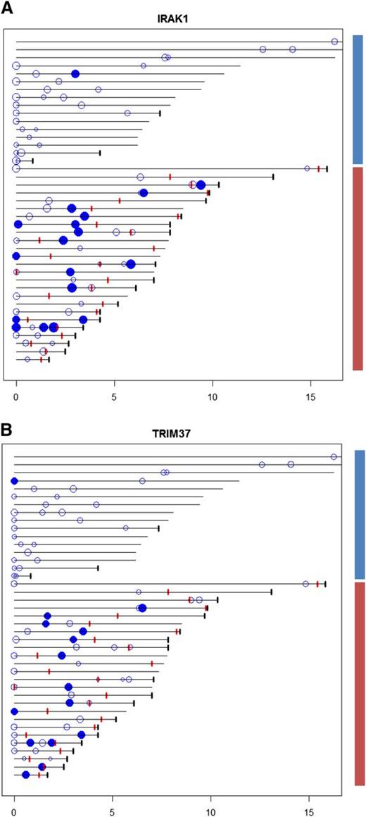 Figure 2. Time diagram of clinical observations, FL biopsies, TRIM37, and IRAK1 scores. Each horizontal line represents the time line for a particular patient, the length indicating total observation time since primary diagnosis. Patients are ordered according to total observation time, with FL biopsies from patients without transformation (blue bar; 30 FL biopsies from 16 patients) and FL biopsies from patients with transformation (red bar; 45 FL biopsies from 25 patients) shown separately. The patients are ordered as shown in supplemental Table 1 with patient number 1 at the bottom of the diagram. Black tick marks indicate time of death. Red tick marks represent time of transformation. Circles indicate FL samples with copy number and gene expression data available, the size reflecting the magnitude of the TRIM37- and IRAK1-associated scores (left and right panel, respectively). Filled circles represent scores exceeding a threshold chosen for TRIM37- and IRAK1-associated scores separately to maximize the discrimination between patients with and without transformation (indicated with red and blue bars, respectively, at the right side of the figure). Most patients with samples showing high scores have additional samples showing low scores. Of note, in most cases the samples showing high scores precede transformation. A combination of the TRIM37- and IRAK1-associated scores resulted in improved discrimination between the cases with and without transformation (supplemental Figure 11).
