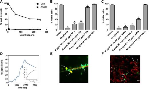 Figure 1. In vitro heparin characterization. (A) In vitro effects of varying amounts of UFH and AADH on thrombin generation in normal pooled mouse plasma as measured by CAT.12 Variable amounts of UFH (B) or AADH (C) and histone H3 (H3) were added to EA.hy926 cells and cell viability was quantitated with flow cytometry. Each bar represents the average ± SD of at least 5 independent experiments. (D) Surface plasmon resonance–analysis of AADH binding to immobilized histone H3 with collected data points in blue and data fit in black. Saturation of binding was verified by analysis of the binding data (insert). (E-F) Fluorimaging analysis of phorbol myristate acetate–stimulated human neutrophils stained with propidium iodide (red), FITC-labeled AADH (green), or anti-histone H2B antibody (blue). (E) A detail showing colocalization (yellow, arrow) of histones, DNA, and AADH on extracellular DNA fibers. (F) Representative presentation of a larger field with NETs, where colocalization (yellow) was observed for histones, DNA, and AADH. Arrows indicate several of the colocalization sites. Bar represents 20 µm for histology. Individual images for the composites (E-F) have been added as supplemental figures. Statistical significance (P < .05) was tested using one-way analysis of variance with Dunnett post hoc test. *Indicates significant difference compared with control samples.