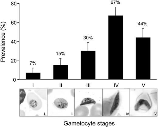Figure 2. Prevalence of P falciparum gametocyte stages in gametocyte-positive bone marrows as detected by microscopy. Prevalence and standard error of the different gametocyte stages in bone marrow samples that are gametocyte-positive by microscopy (n = 27).