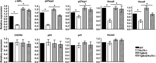 Figure 6. Expression of quiescence-associated genes in Ku70−/− HSCs. BM was isolated from 3 independent groups of WT, Ku70−/−, and TgBcl2, TgBcl2/Ku70−/− mice, and LSK cells were sorted before messenger RNA isolation. The relative messenger RNA expression levels of c-Mpl, p57, p27, p53, p21, Hoxa5, Hoxa9, Hoxb4, and CXCR4 were evaluated by quantitative real-time reverse-transcription PCR with endogenous control GAPDH in triplicate. Means from 3 or 4 independent experiments are shown. Error bars indicate SD, and significance was determined by a 2-tailed Student t test. *P < .05.