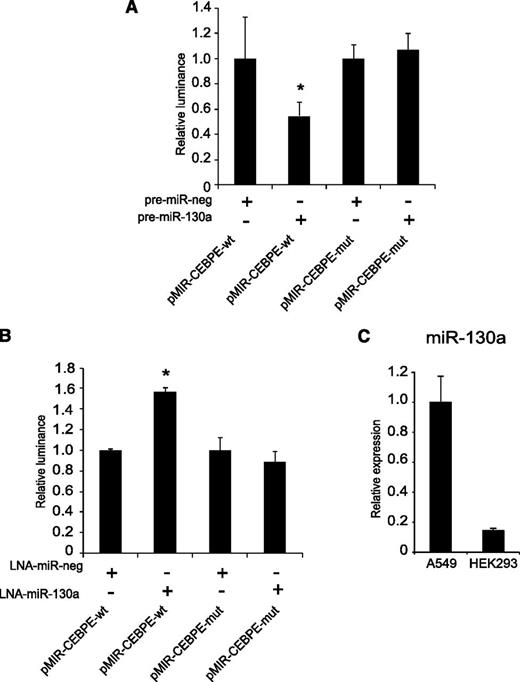 Figure 3. Target verification of miR-130a in C/EBP-ε 3ʹ-UTR. HEK293 cells or A549 cells were transfected with pMIR-CEBPE-wt or pMIR-CEBPE-mut and (A) pre-miR-130a/scrambled miRNA or (B) LNA-130a/LNA-neg, respectively. The cells were harvested 24 hours posttransfection and luciferase activity was measured using the Dual-Luciferase Reporter Assay System. The firefly luciferase activity was normalized to the activity of renilla luciferase expressed from pGL4,74 included in each transfection. Error bars show SD from triplicate measurements. The expressions from the transfections with the controls (miR-neg and LNA-neg) were assigned the value 1 and the relative expression measured from the constructs co-transfected with miR-130a or LNA-130a was recalculated accordingly. (C) Real-time PCR measuring the internal miR-130a level in A549 and HEK293 cells. Error bars indicate SD between 3 measurements. Asterisks indicate significant differences in expression between transfections (*P < .05).
