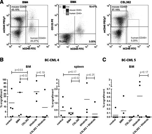 Figure 5. CSL362-mediated ADCC targets BC-CML leukemia-initiating cells. MNCs from patient BC-CML 4 (A-B) and BC-CML 5 (C) were incubated with 1 µg/mL CSL362 or BM4 isotype control antibody, without or with 1 µM nilotinib, in the presence of purified NK cells (E:T 1:1) overnight prior to intravenous transplantation into sub-lethally irradiated NOD/SCID mice. Human engraftment was analyzed by flow cytometry 12 weeks postinjection. (A) Representative flow plots for positive BM engraftment 12 weeks postinjection in a mouse from the BM4 group and for eliminated engraftment in a mouse from the CSL362 group are shown. The middle panel documents CD123 expression in engrafted cells. (B-C) Percentages of engraftment in BM and spleen of individual mice and the group means are plotted. Mice injected with BC-CML 5 cells did not show significant engraftment in the spleen. P values were determined by Mann-Whitney test.