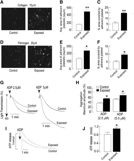 Figure 2. Agonist-dependent increase in platelet adhesion, aggregation, and ATP release in exposed animals. (A-F) Platelets were isolated from both control and hypoxia-exposed rats, fluorescently labeled, and allowed to adhere to collagen or fibrinogen precoated plates for up to 60 minutes at 37°C. (A,D) Representative images of fluorescence microscopy-based platelet adhesion on type 1 collagen-coated (10 µM) and fibrinogen-coated (20 µM) plates, using fluorogenic dye calcein. Images were captured using a fluorescein isothiocyanate filter on a Motic Inverted Microscope AE31(×200 original magnification). (B-C,E-F) Quantitation of platelet adhesion data was expressed as average area or size of adhered platelet clumps and percentage area covered by adhered platelets on the collagen-coated plate (top) and the fibrinogen-coated plate (bottom) after a 60-minute incubation. Quantitation was performed by Motic ImagePlus 2.0 software. (G) For the platelet aggregation assay, platelet-rich plasma from rats of indicated groups, incubated at 37°C for at least 3 minutes, was induced by ADP with stirring at 1200 rpm and optically monitored. The rate and extent of ADP-induced platelet aggregation was higher in hypoxia-exposed animals compared with control animals. Representative aggregation curves are shown in response to ADP (2.5 and 5 µM). (H) A bar graph shows aggregation results expressed as maximal amplitude of aggregation. (I) Representative ATP release curve in response to ADP analyzed using a luciferase assay. (J) Quantitation of aggregation and ATP release were expressed as maximum amplitude. Data are presented (mean ± SEM) as average results of at least 3 independent experiments (n = 6). *P < .05, **P < .01 vs control. See the supplemental Methods for details.