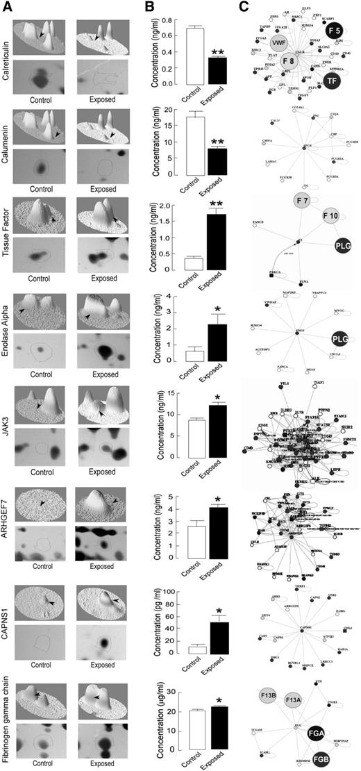 Figure 5. ELISA-based validation and protein–protein interaction analysis of identified differential proteins. Selective differential proteins identified by MS/MS were used for heat map generation and 3-dimensional view analysis. The differentially expressed proteins were quantified in platelet samples from control and exposed rats by ELISA, and the platelet-specific protein–protein interaction analysis was performed with an open Web source PlateletWeb (http://plateletweb.bioapps.biozentrum.uni-wuerzburg.de). (A) Representative protein spots of identified proteins on 2DE gel with heat map in 3-dimensional view. (B) ELISA-based validation of protein levels in platelet samples expressed as mean ± SEM (n = 6; *P < .05, **P < .01). (C) Interaction maps of differentially expressed proteins showing their interacting partners, using the PlateletWeb database. The proteins directly involved in coagulation cascade are highlighted.