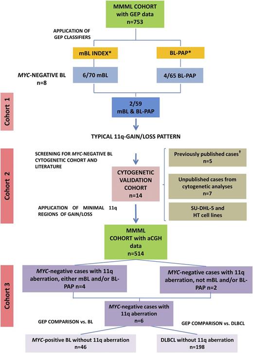 Figure 1. Diagram of the strategy used for the identification of potential MYC-negative BL. One case from cohort 2 is also part of cohort 3 (MMML series). *mBL7 and BL-PAP GEP classifiers.12 †Previously published cases.8,13