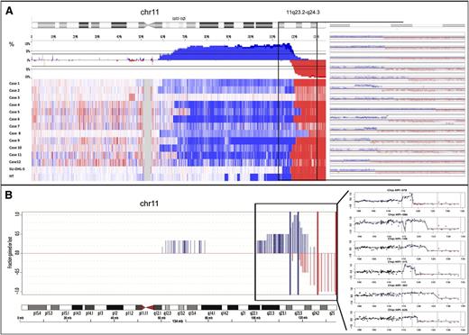 Figure 4. 11q alterations in MYC-negative high-grade lymphomas. (A) Chromosomal view of chromosome 11 analyzed by SNP arrays in cohort 2 (n = 14, including SU-DHL-5 and HT cell lines). (B) Chromosomal view of chromosome 11 analyzed by custom CGH-array in cohort 3 (n = 6).