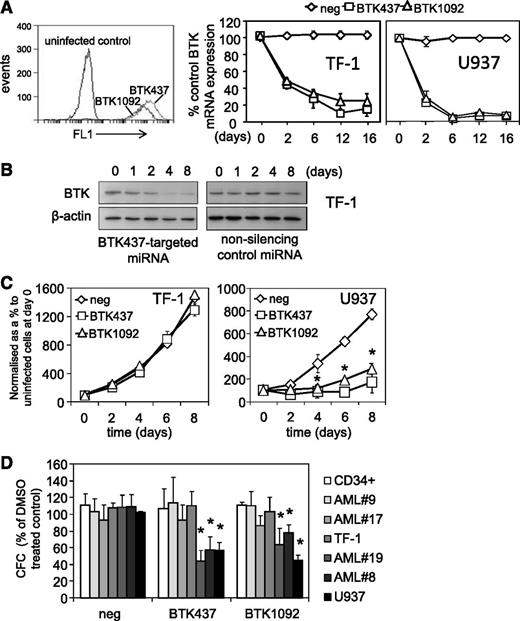 Figure 4. Genetic inhibition of BTK inhibits cell proliferation in AML cells. AML cell lines (TF-1 and U937) were transduced with BTK-targeted miRNA GFP-tagged lentiviral constructs. (A) Transfected cells were measured for GFP expression using flow cytometry for 2 BTK-targeted miRNA (BTK437 and BTK1092) in TF-1 cells. RNA was extracted from TF-1 and U937 cells transduced with BTK-targeted and nonsilencing miRNA control constructs and examined for BTK expression by RT-PCR at the indicated times. mRNA expression was normalized to GAPDH mRNA levels. (B) Protein extracts were also obtained and western blot analysis was conducted for p-BTK and BTK protein levels. (C) TF-1 and U937 were transduced with either BTK-targeted miRNA or nonsilencing control miRNA construct for 72 hours. Cell number was assessed by Cell TitreGlo assay. (D) AML blasts, AML cell lines, and CD34+ HSCs were transduced with BTK-targeted miRNA and control miRNA constructs, and colony-forming assays were performed to show the number of colonies detected. In all panels, the values indicate the mean ± SD from 3 independent experiments. *Statistical significance of P < .05 between the different treatment groups.